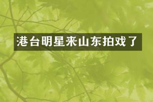 港台明星来山东拍戏了