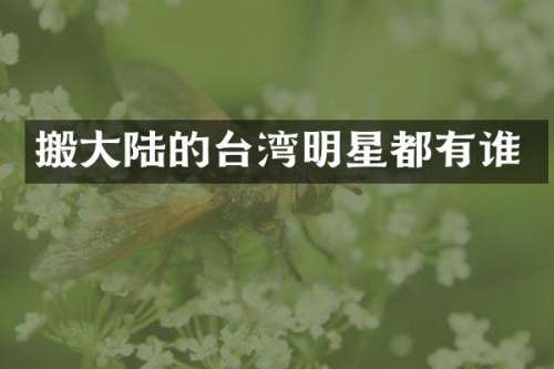 搬大陆的台湾明星都有谁