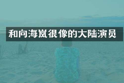 和向海岚很像的大陆演员