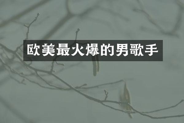 欧美最火爆的男歌手