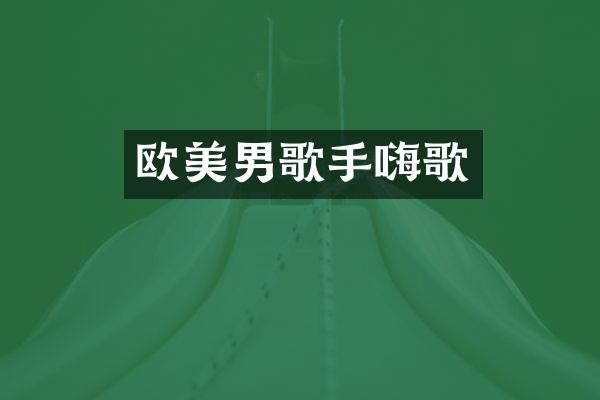 欧美男歌手嗨歌