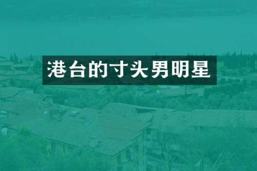 港台的寸头男明星