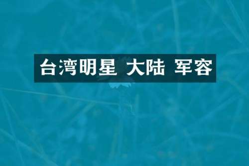 台湾明星 大陆 军容