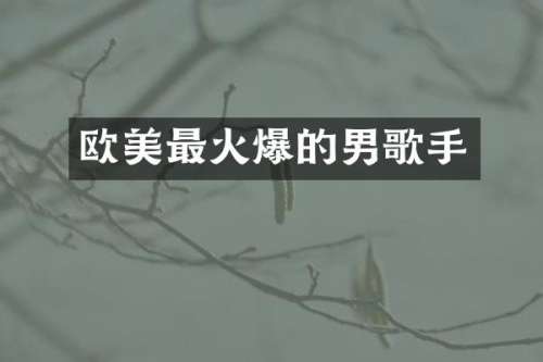 欧美最火爆的男歌手