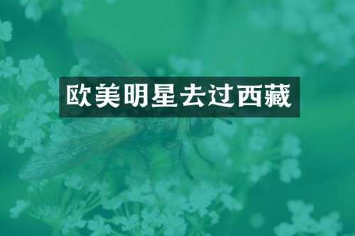 欧美明星去过西藏