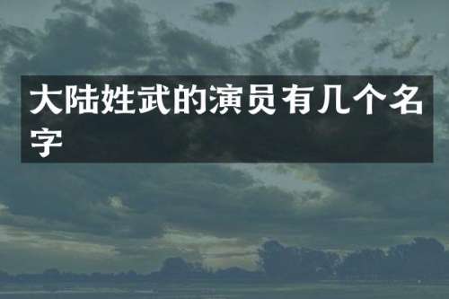 大陆姓武的演员有几个名字