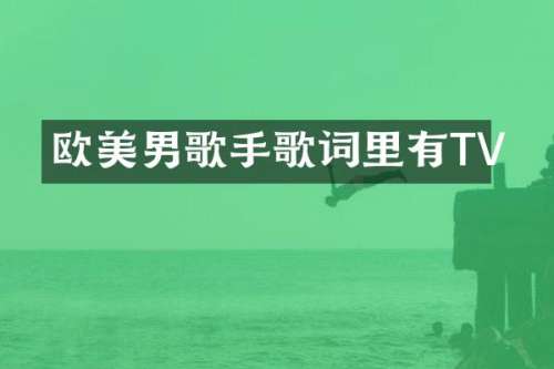 欧美男歌手歌词里有TV