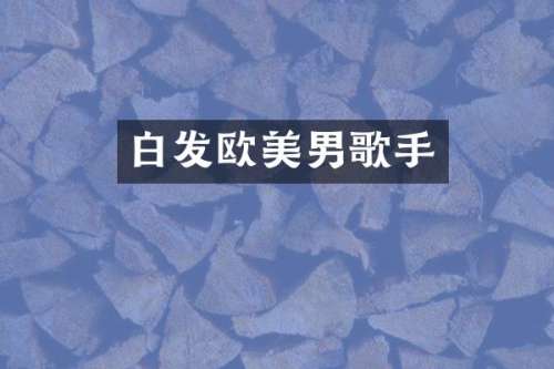 白发欧美男歌手