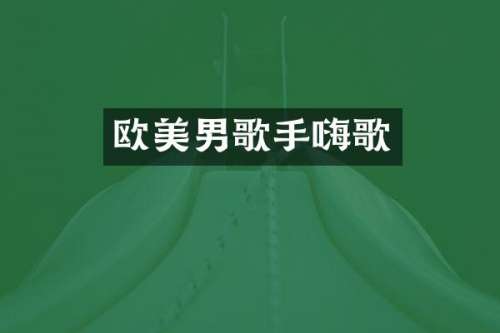 欧美男歌手嗨歌