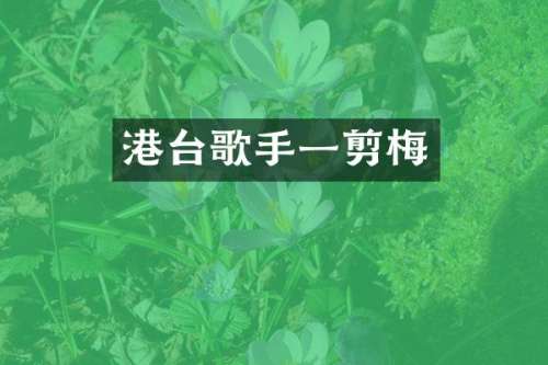 港台歌手一剪梅