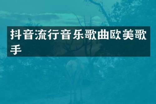 抖音流行音乐歌曲欧美歌手