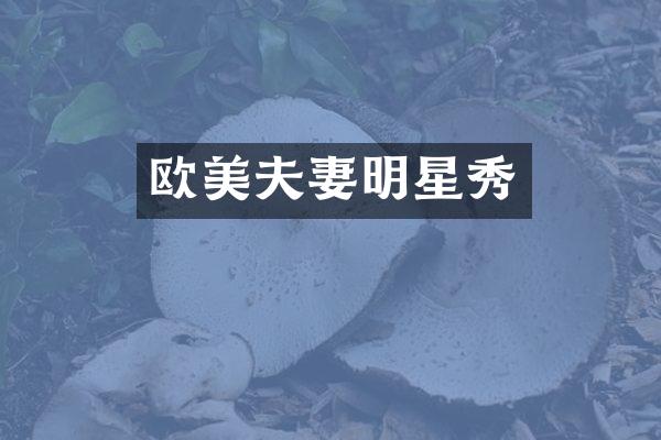 欧美夫妻明星秀