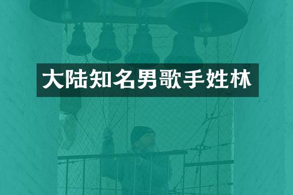 大陆知名男歌手姓林
