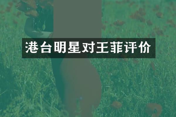 港台明星对王菲评价