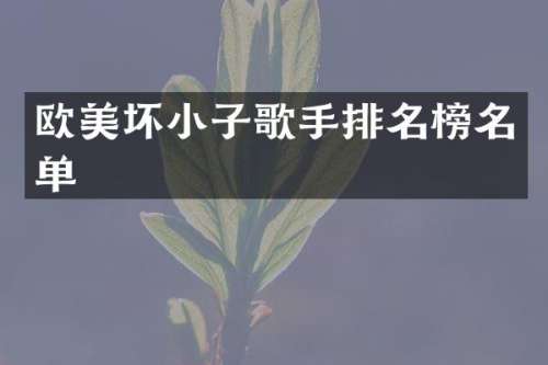 欧美坏小子歌手排名榜名单