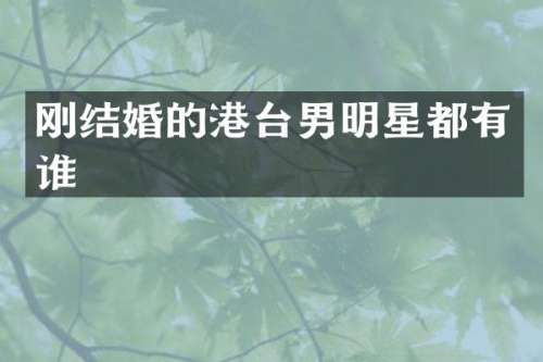 刚结婚的港台男明星都有谁