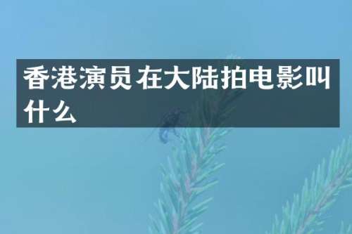 香港演员在大陆拍电影叫什么