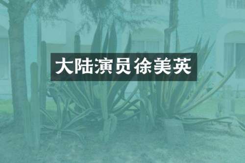 大陆演员徐美英