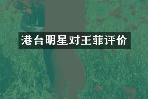 港台明星对王菲评价