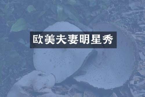 欧美夫妻明星秀