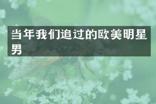 当年我们追过的欧美明星男