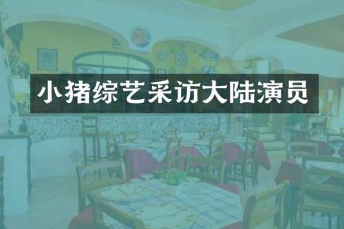 小猪综艺采访大陆演员