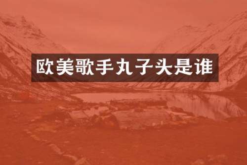 欧美歌手丸子头是谁