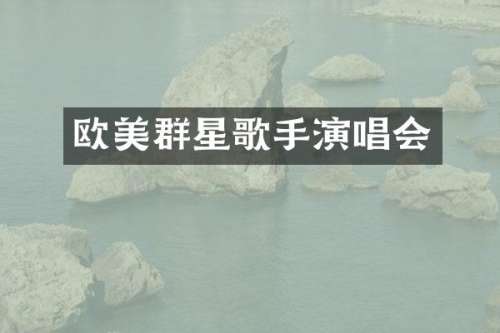 欧美群星歌手演唱会