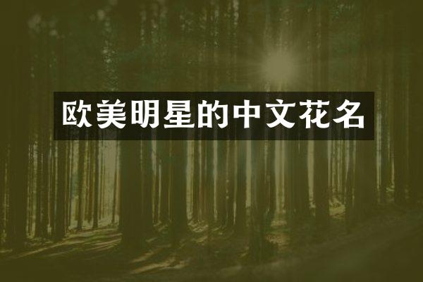 欧美明星的中文花名