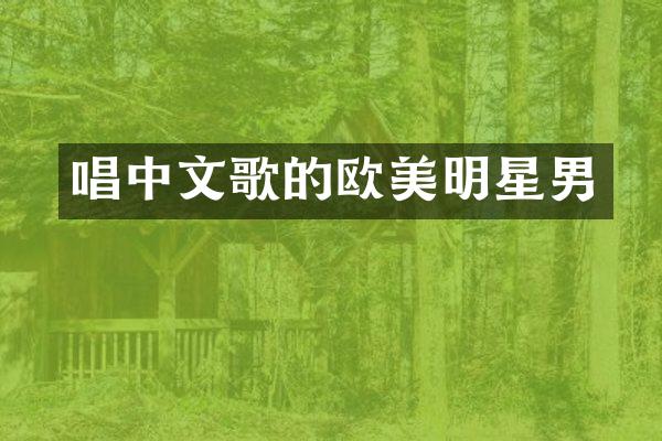 唱中文歌的欧美明星男