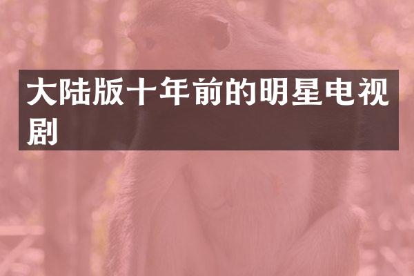 大陆版十年前的明星电视剧