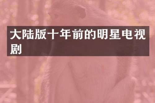 大陆版十年前的明星电视剧