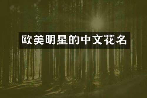 欧美明星的中文花名