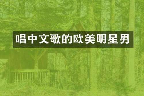 唱中文歌的欧美明星男