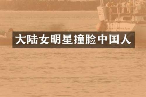 大陆女明星撞脸中国人