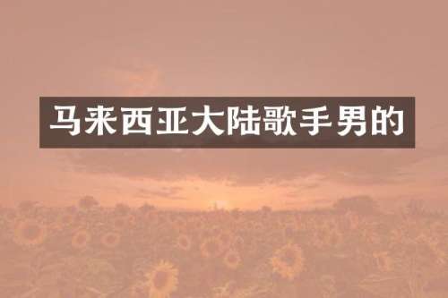 马来西亚大陆歌手男的