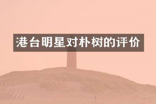 港台明星对朴树的评价