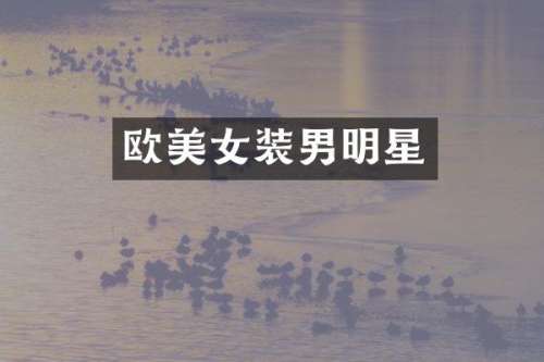欧装男明星