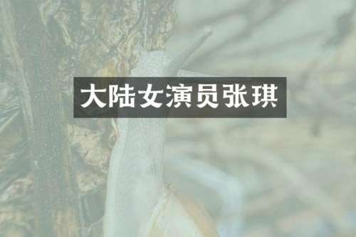 大陆女演员张琪