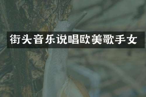 街头音乐说唱欧美歌手女