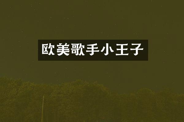 欧美歌手小王子