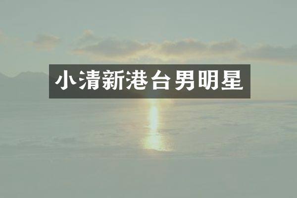 小清新港台男明星
