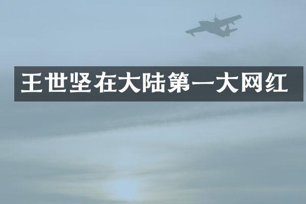 王世坚在大陆第一大网红