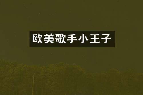 欧美歌手小王子
