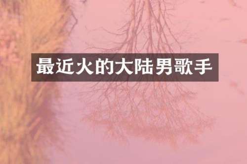 最近火的大陆男歌手