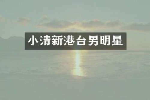 小清新港台男明星