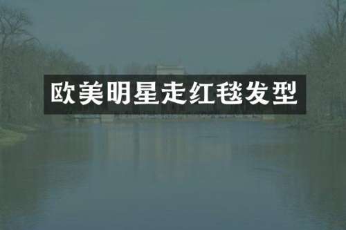 欧美明星走红毯发型