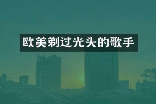 欧美剃过光头的歌手