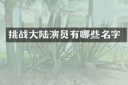 挑战大陆演员有哪些名字
