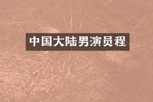 中国大陆男演员程